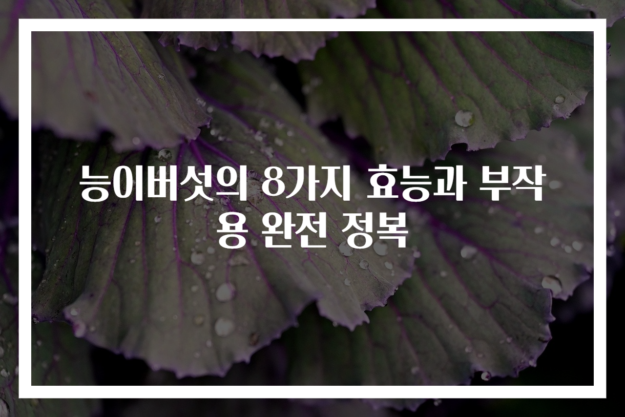 능이버섯의 8가지 효능과 부작용 완전 정복