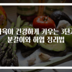 다육이 건강하게 키우는 3단계 분갈이와 하엽 정리법