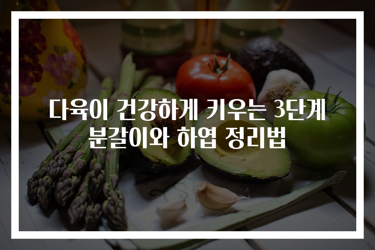 다육이 건강하게 키우는 3단계 분갈이와 하엽 정리법