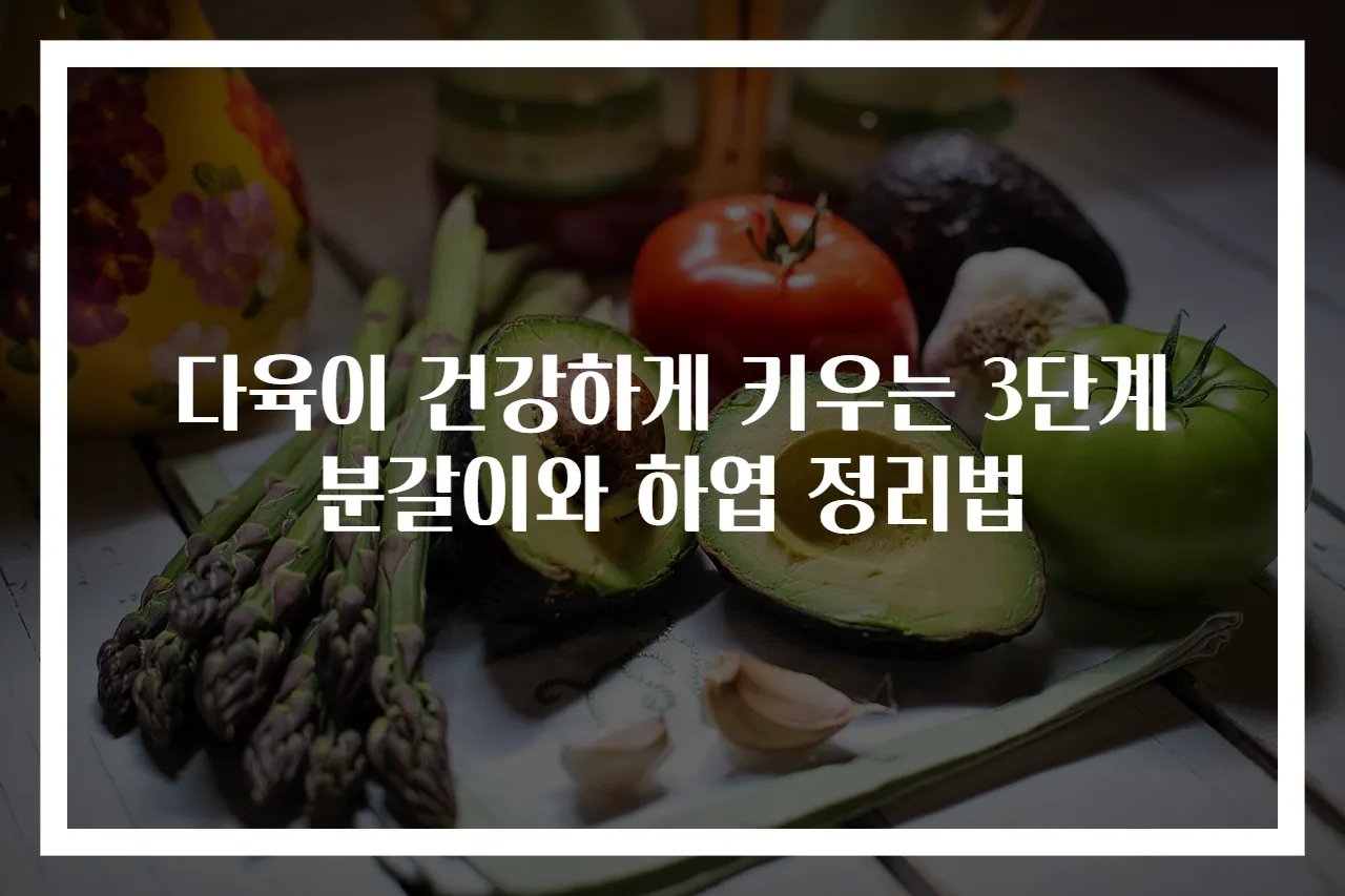 다육이 건강하게 키우는 3단계 분갈이와 하엽 정리법