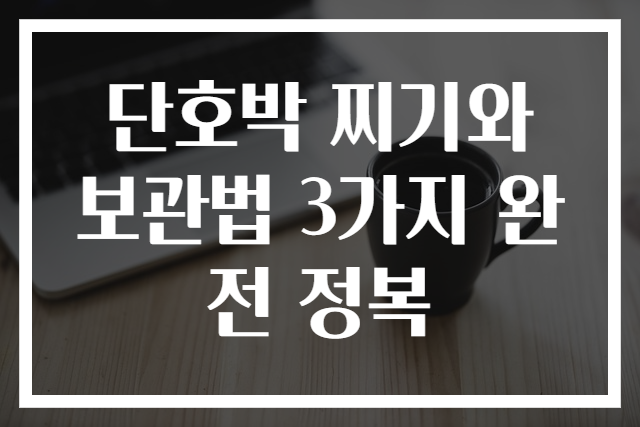 단호박 찌기와 보관법 3가지 완전 정복
