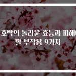 단호박의 놀라운 효능과 피해야 할 부작용 9가지