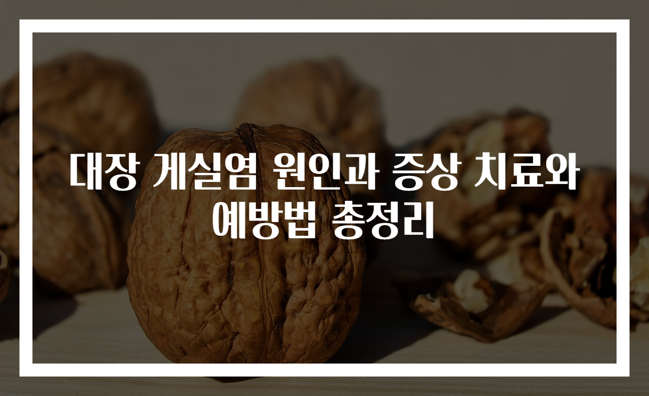 대장 게실염 원인과 증상 치료와 예방법 총정리