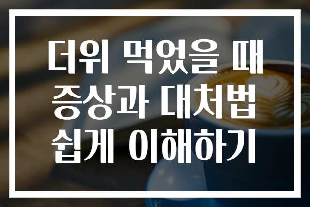 더위 먹었을 때 증상과 대처법 쉽게 이해하기