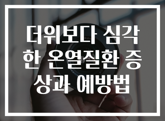 더위보다 심각한 온열질환 증상과 예방법