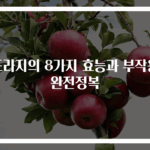 도라지의 8가지 효능과 부작용 완전정복
