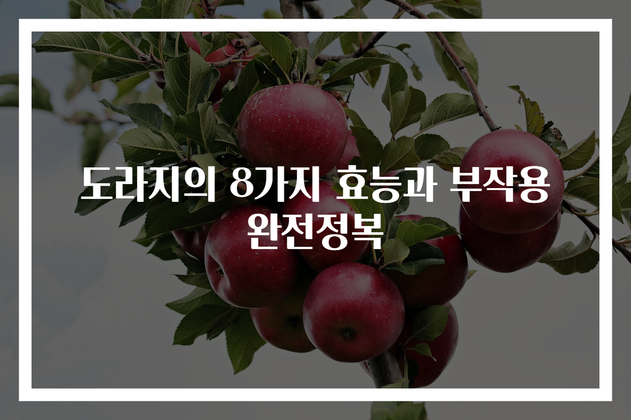 도라지의 8가지 효능과 부작용 완전정복