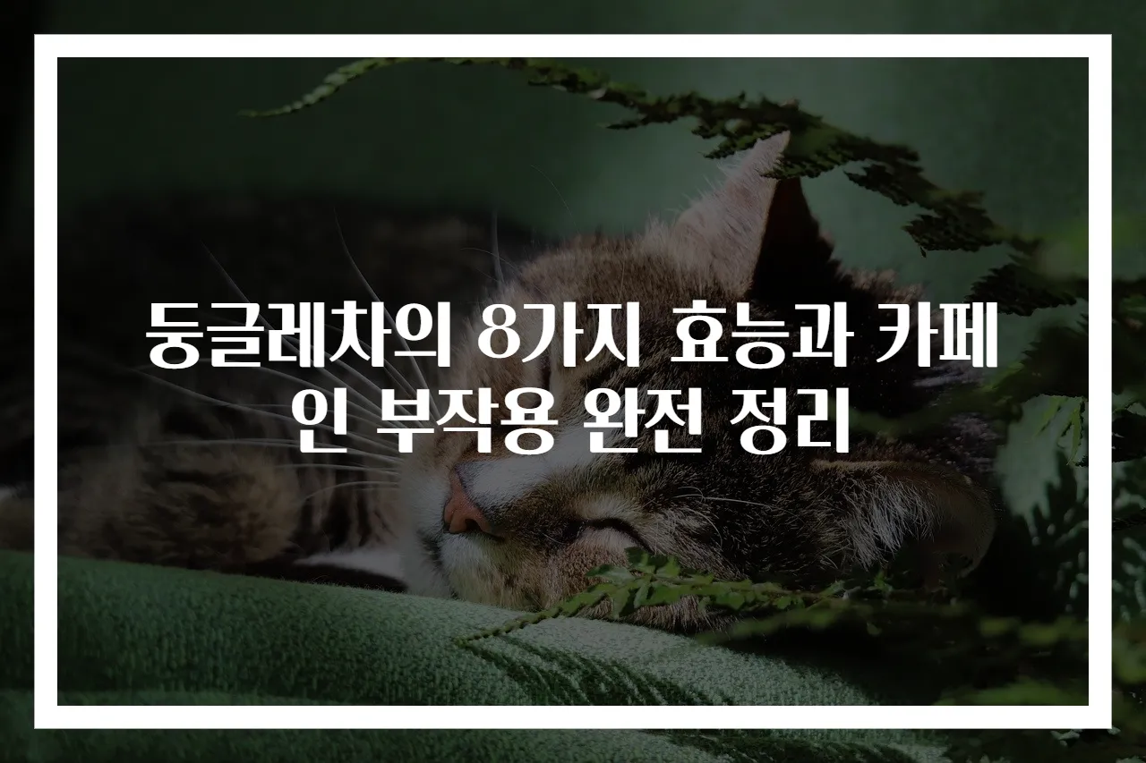 둥글레차의 8가지 효능과 카페인 부작용 완전 정리