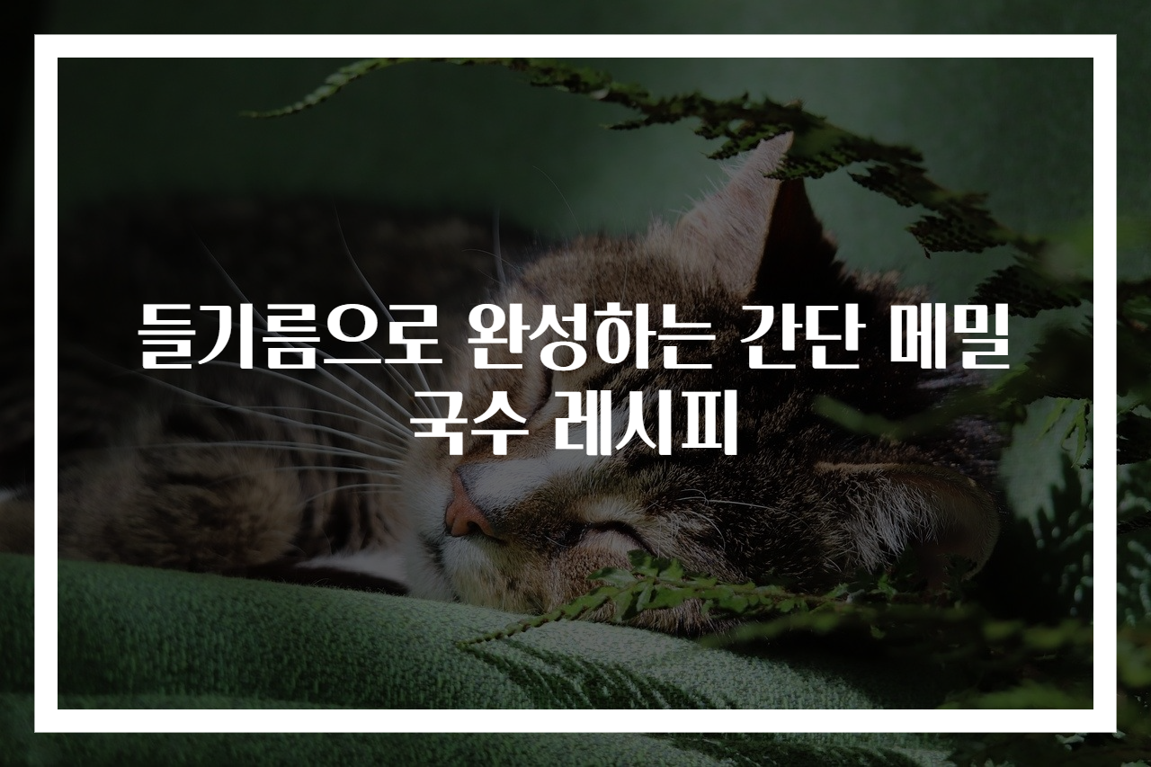 들기름으로 완성하는 간단 메밀국수 레시피