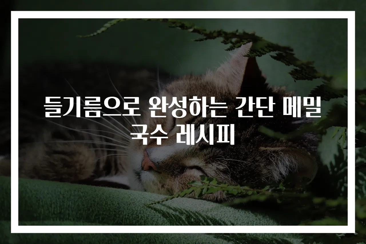 들기름으로 완성하는 간단 메밀국수 레시피