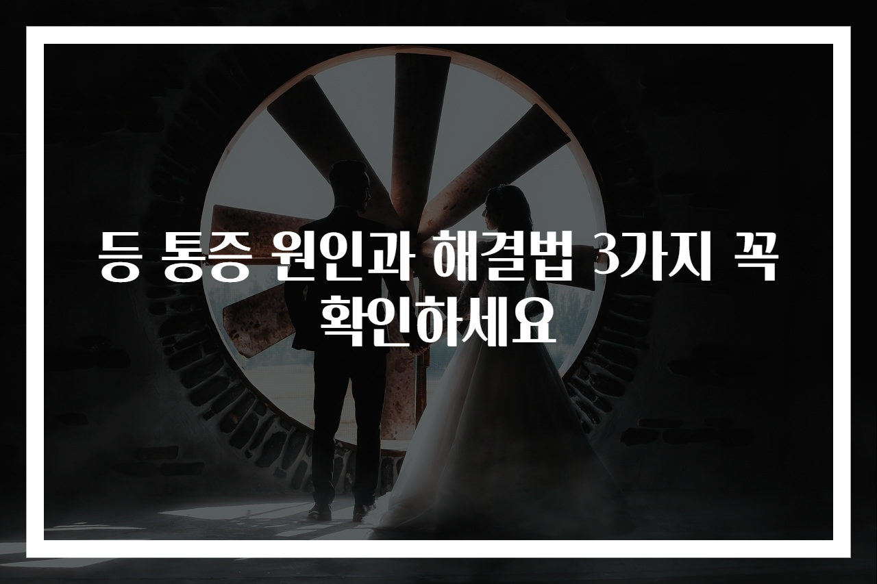 등 통증 원인과 해결법 3가지 꼭 확인하세요