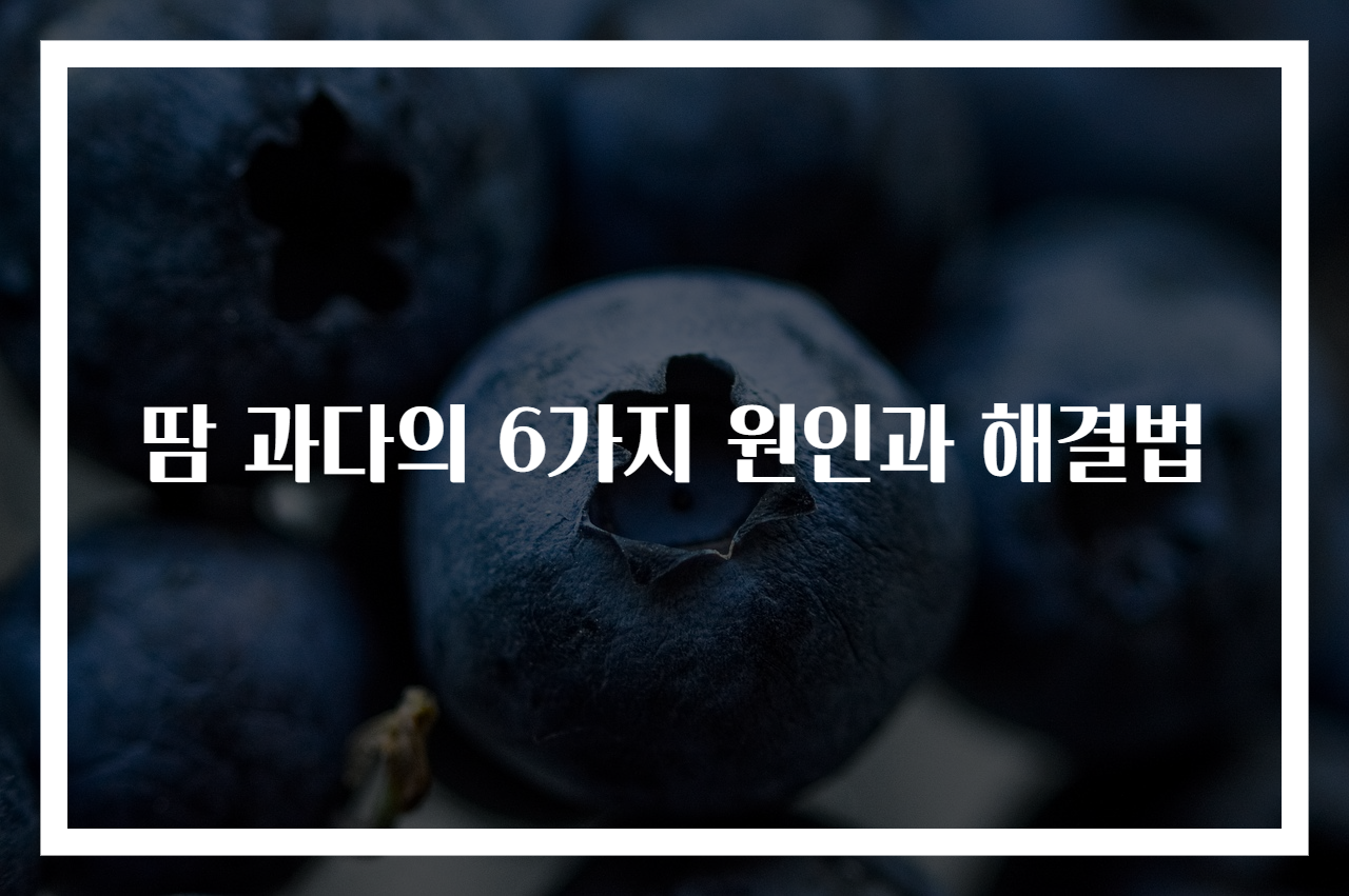 땀 과다의 6가지 원인과 해결법