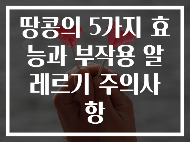 땅콩의 5가지 효능과 부작용 알레르기 주의사항