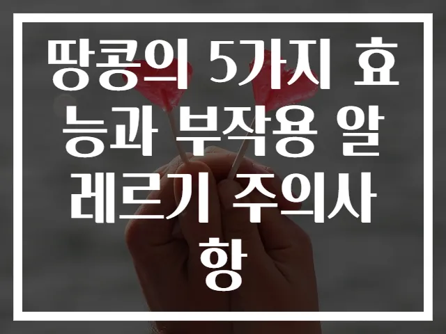 땅콩의 5가지 효능과 부작용 알레르기 주의사항
