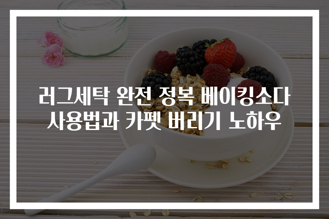 러그세탁 완전 정복 베이킹소다 사용법과 카펫 버리기 노하우