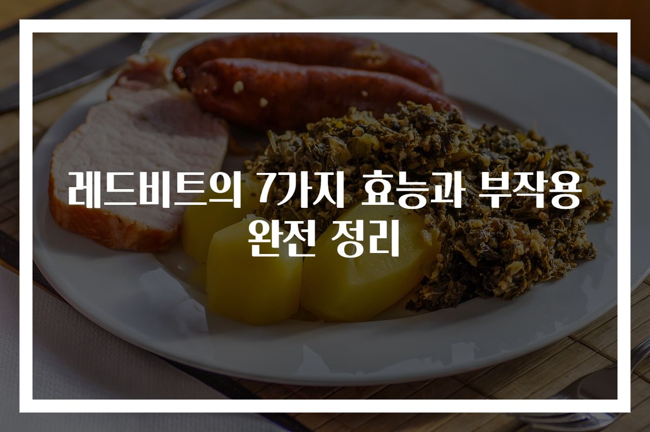 레드비트의 7가지 효능과 부작용 완전 정리