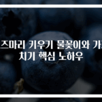 로즈마리 키우기 물꽂이와 가지치기 핵심 노하우