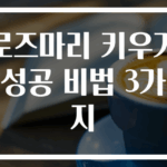 로즈마리 키우기 성공 비법 3가지