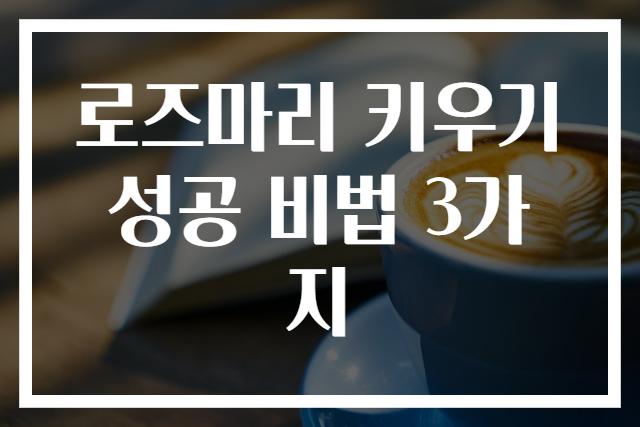 로즈마리 키우기 성공 비법 3가지