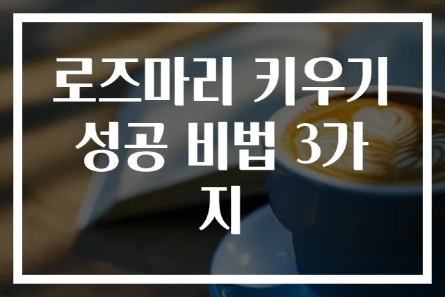로즈마리 키우기 성공 비법 3가지
