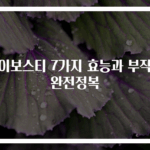 루이보스티 7가지 효능과 부작용 완전정복