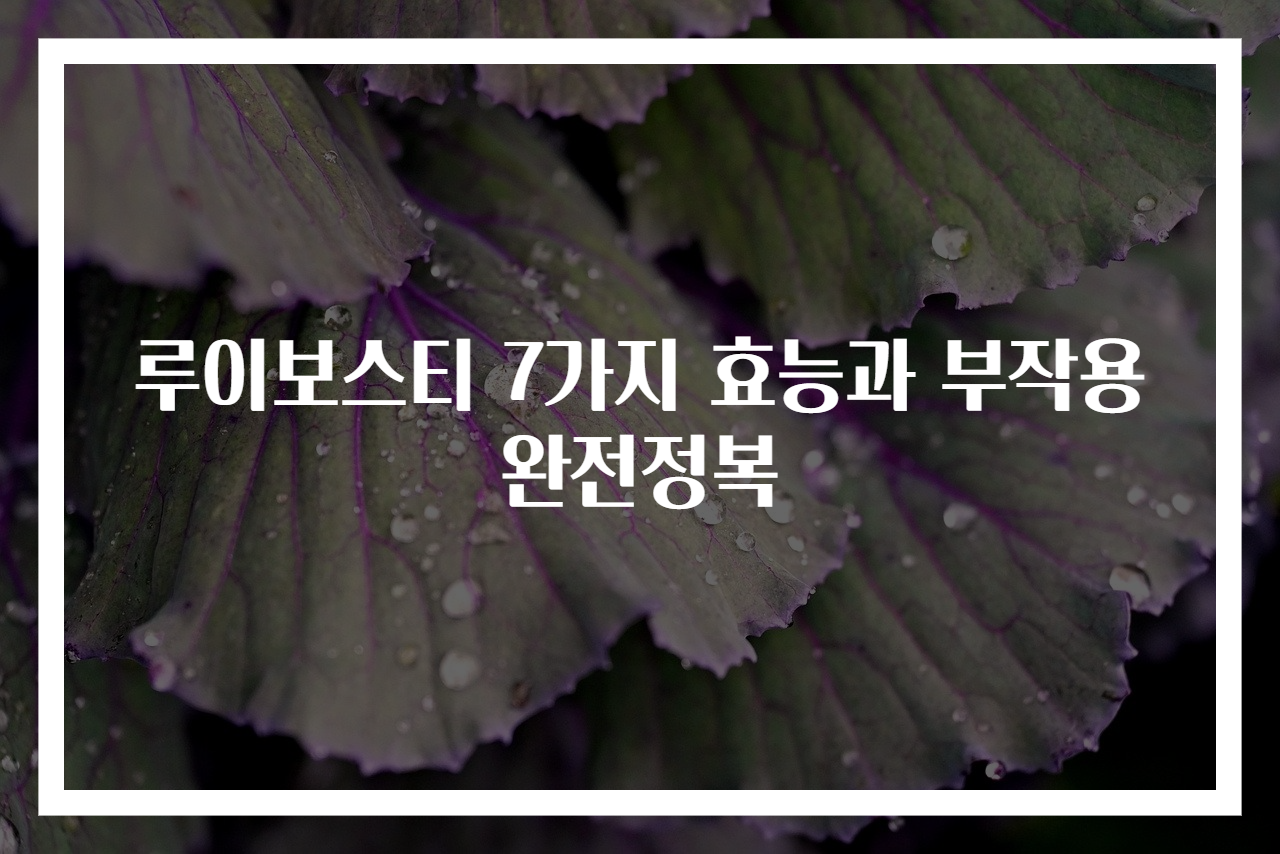 루이보스티 7가지 효능과 부작용 완전정복