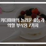 마카다미아의 놀라운 효능과 주의할 부작용 7가지