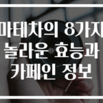 마테차의 8가지 놀라운 효능과 카페인 정보