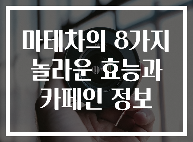 마테차의 8가지 놀라운 효능과 카페인 정보