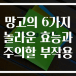 망고의 6가지 놀라운 효능과 주의할 부작용