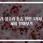 머리 정수리 통증 원인 3가지 자세히 알아보기