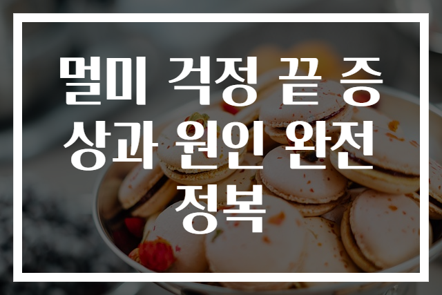 멀미 걱정 끝 증상과 원인 완전 정복