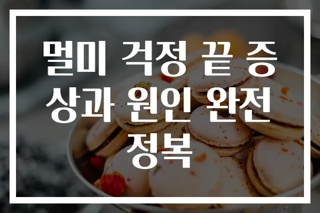 멀미 걱정 끝 증상과 원인 완전 정복