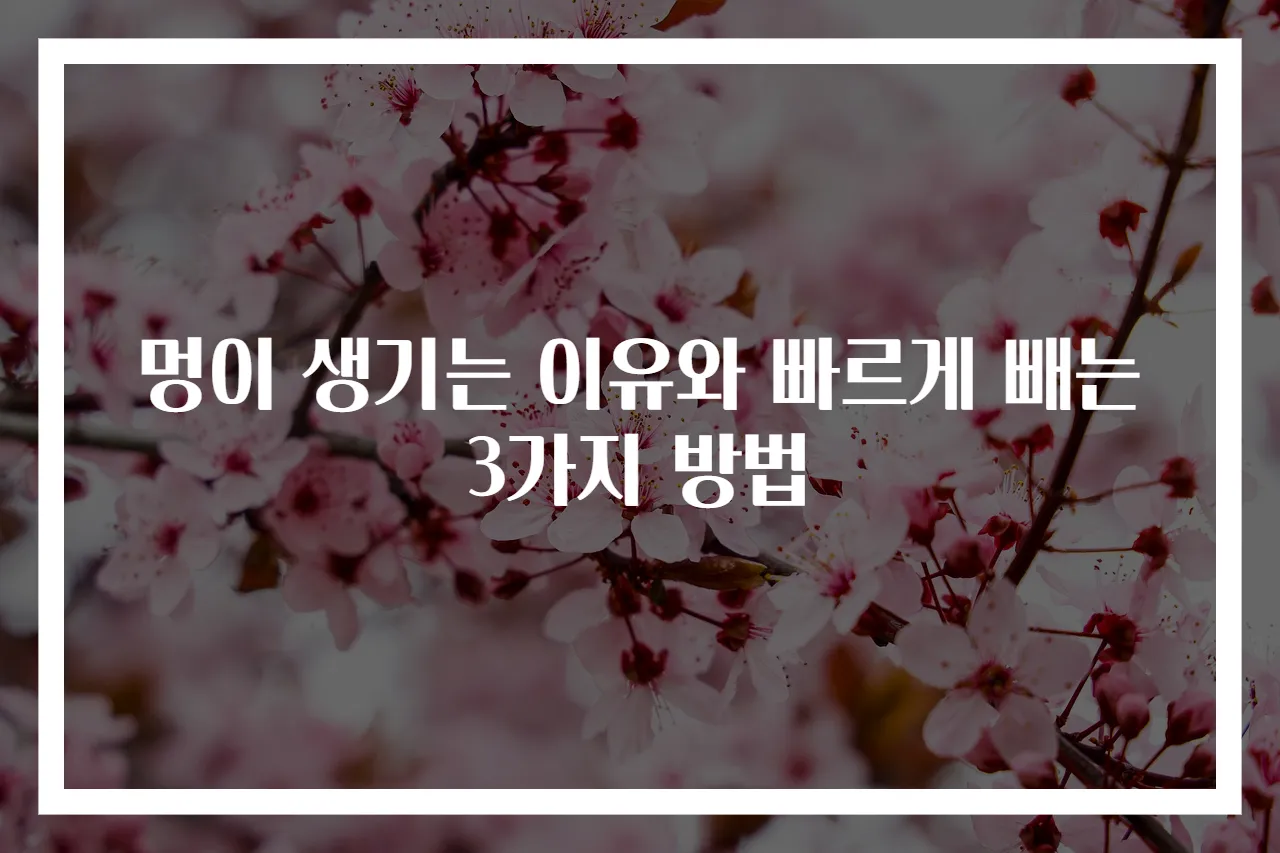 멍이 생기는 이유와 빠르게 빼는 3가지 방법