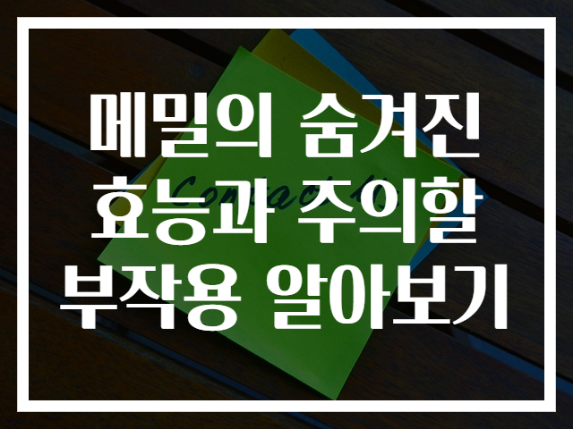 메밀의 숨겨진 효능과 주의할 부작용 알아보기