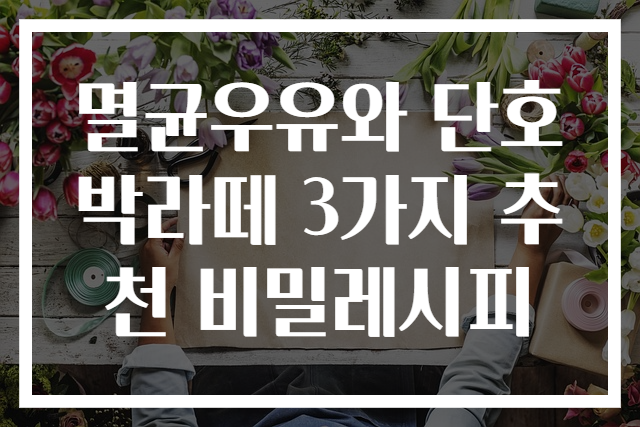 멸균우유와 단호박라떼 3가지 추천 비밀레시피