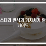 몬스테라 번식과 가지치기 완벽 가이드