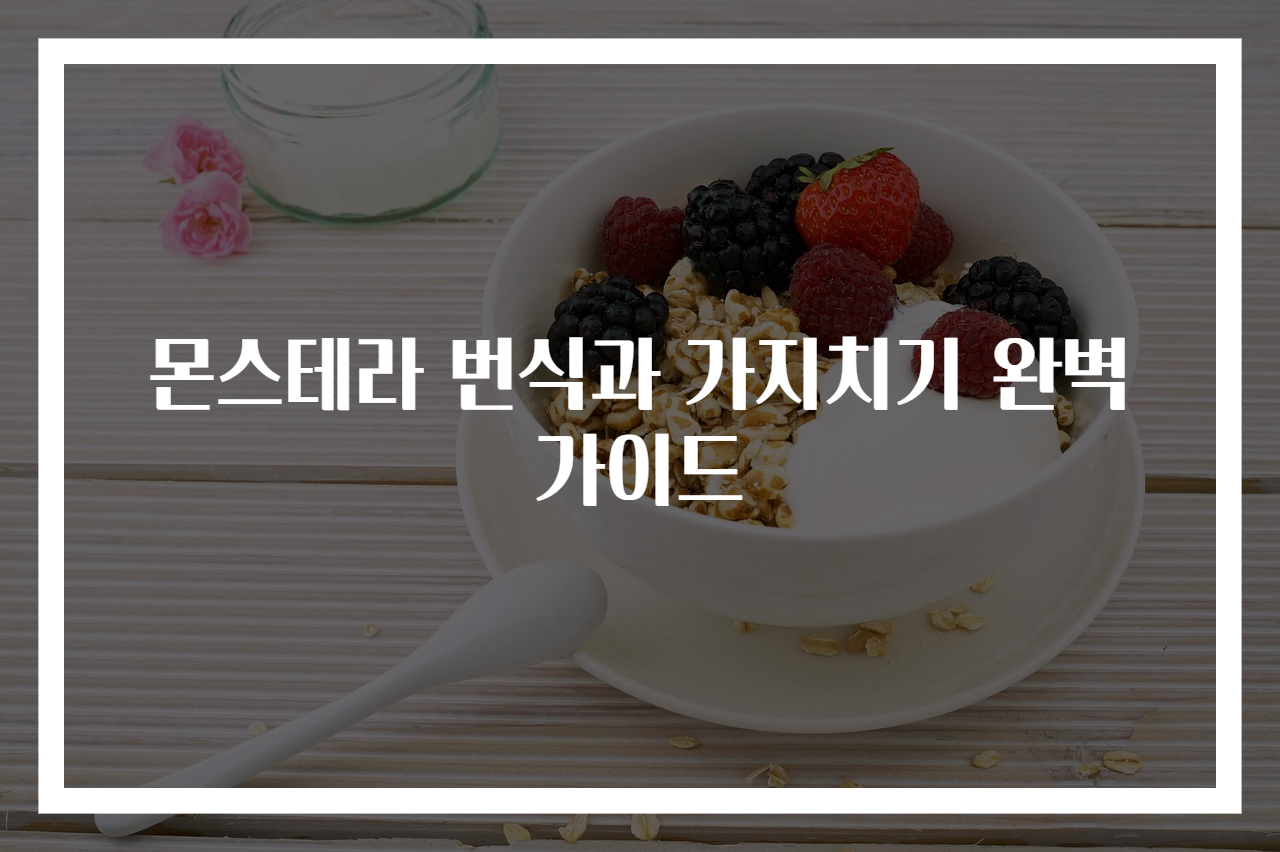 몬스테라 번식과 가지치기 완벽 가이드