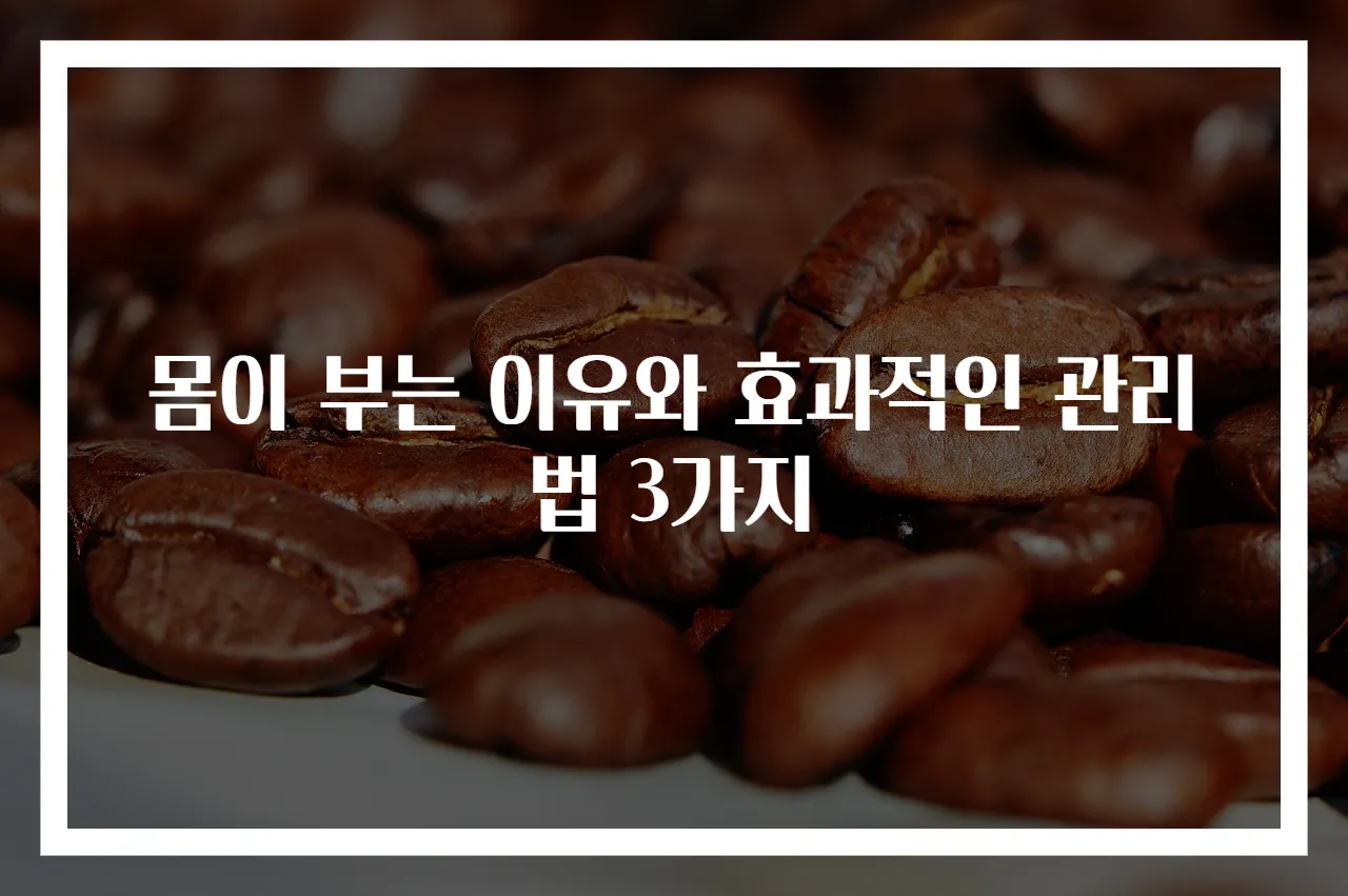 몸이 부는 이유와 효과적인 관리법 3가지