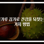 밀가루 끊기로 건강을 되찾는 3가지 방법