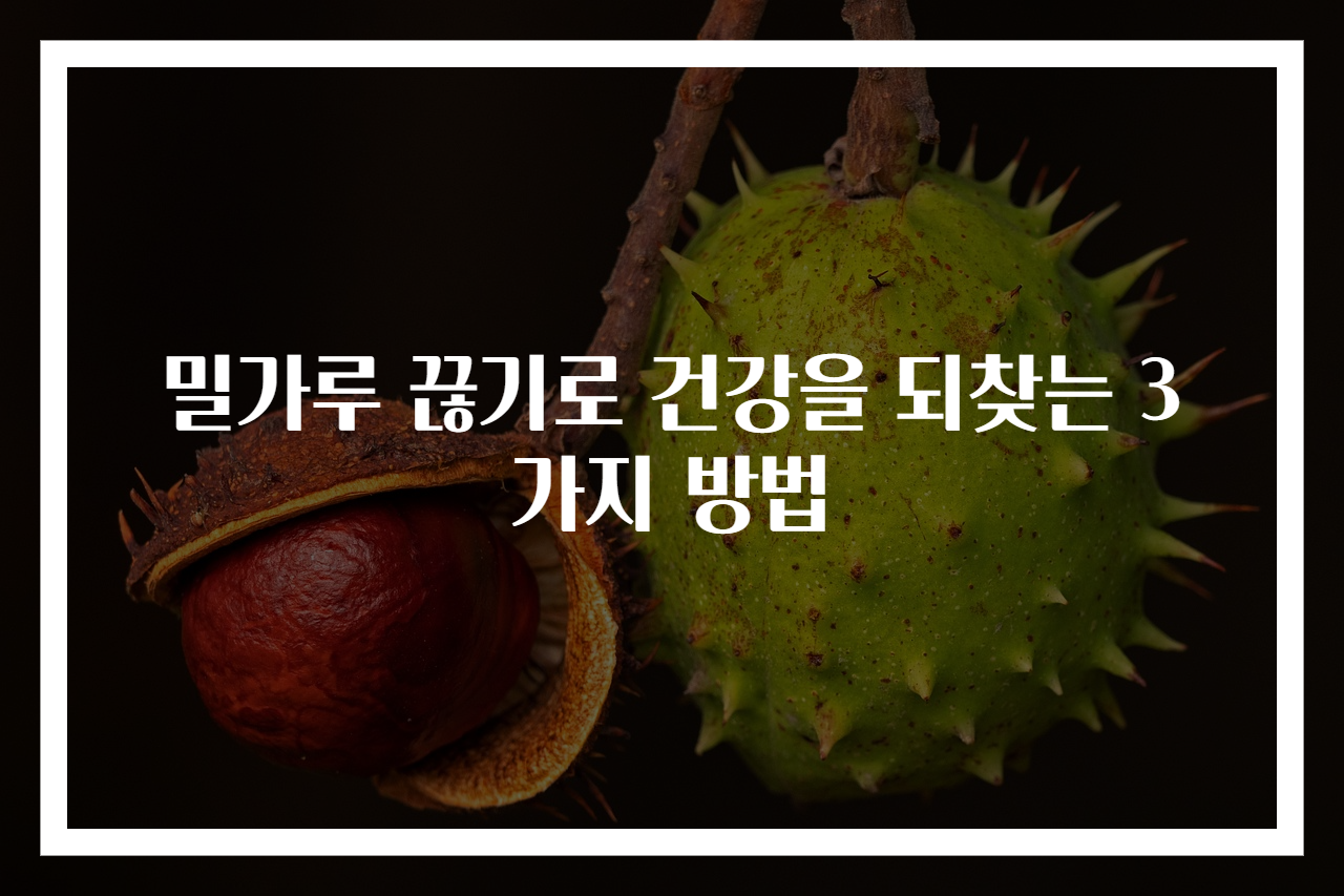 밀가루 끊기로 건강을 되찾는 3가지 방법