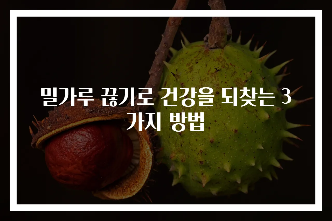 밀가루 끊기로 건강을 되찾는 3가지 방법