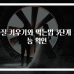 바질 키우기와 먹는법 3단계 효능 확인
