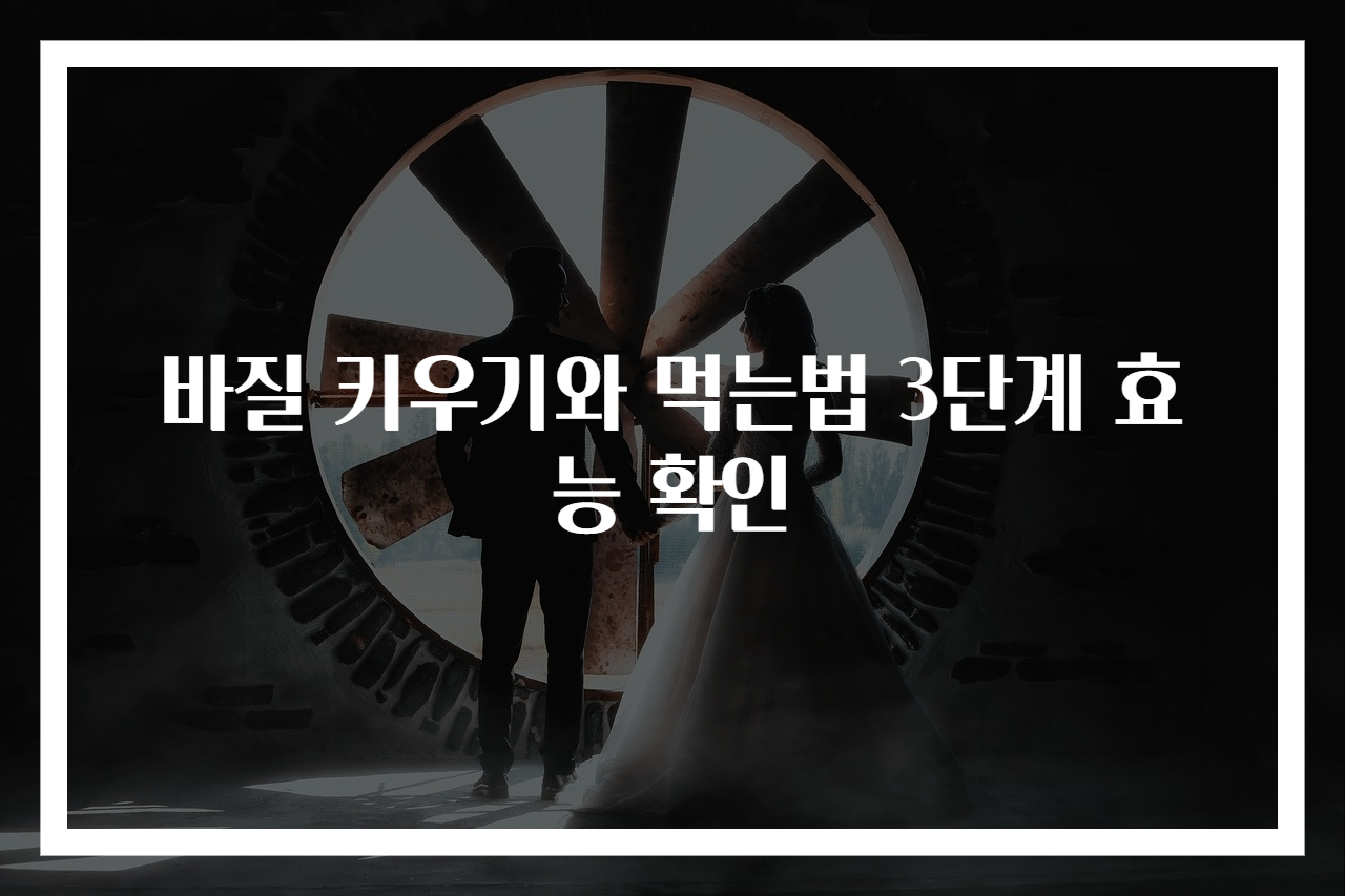 바질 키우기와 먹는법 3단계 효능 확인