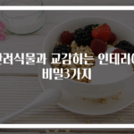 반려식물과 교감하는 인테리어 비밀3가지