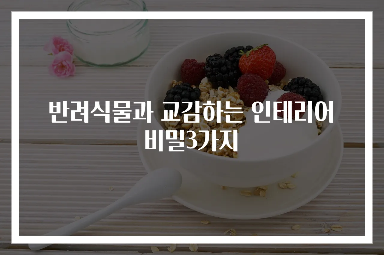 반려식물과 교감하는 인테리어 비밀3가지