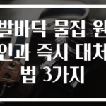 발바닥 물집 원인과 즉시 대처법 3가지
