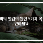 발바닥 열감의 원인 5가지 꼭 확인하세요
