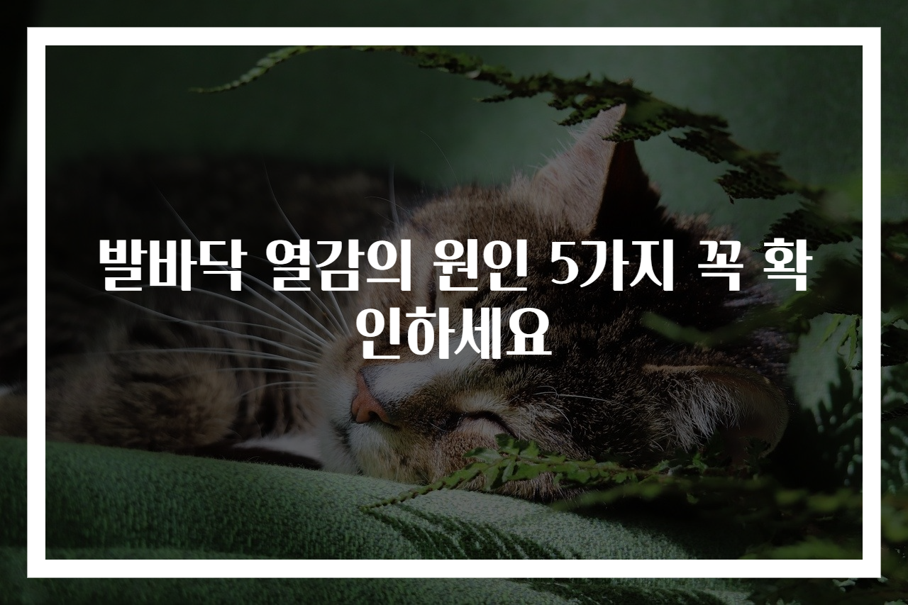 발바닥 열감의 원인 5가지 꼭 확인하세요