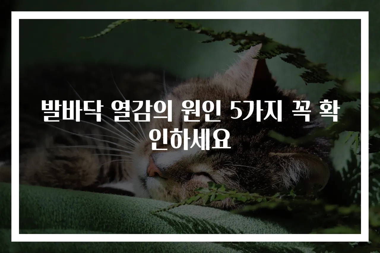 발바닥 열감의 원인 5가지 꼭 확인하세요